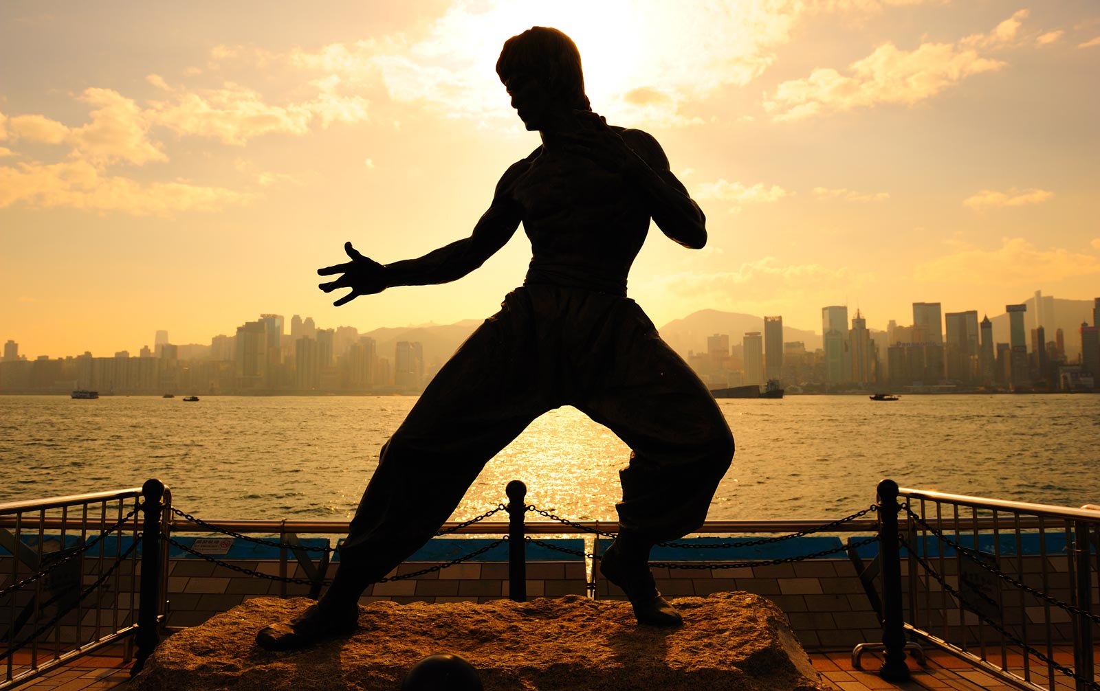 Martial Arts/ Kickboxing/ Self defense